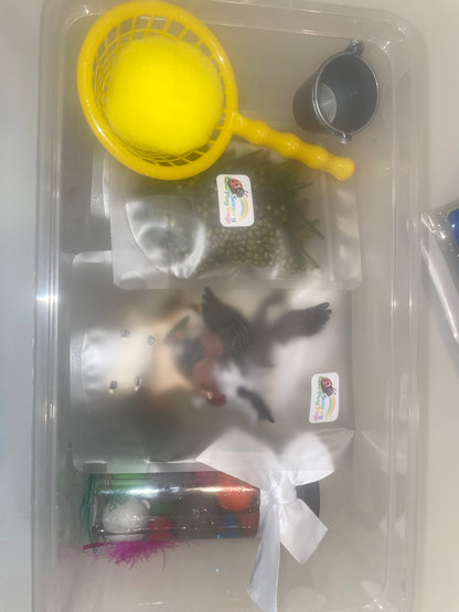 Customised Sensory Trays