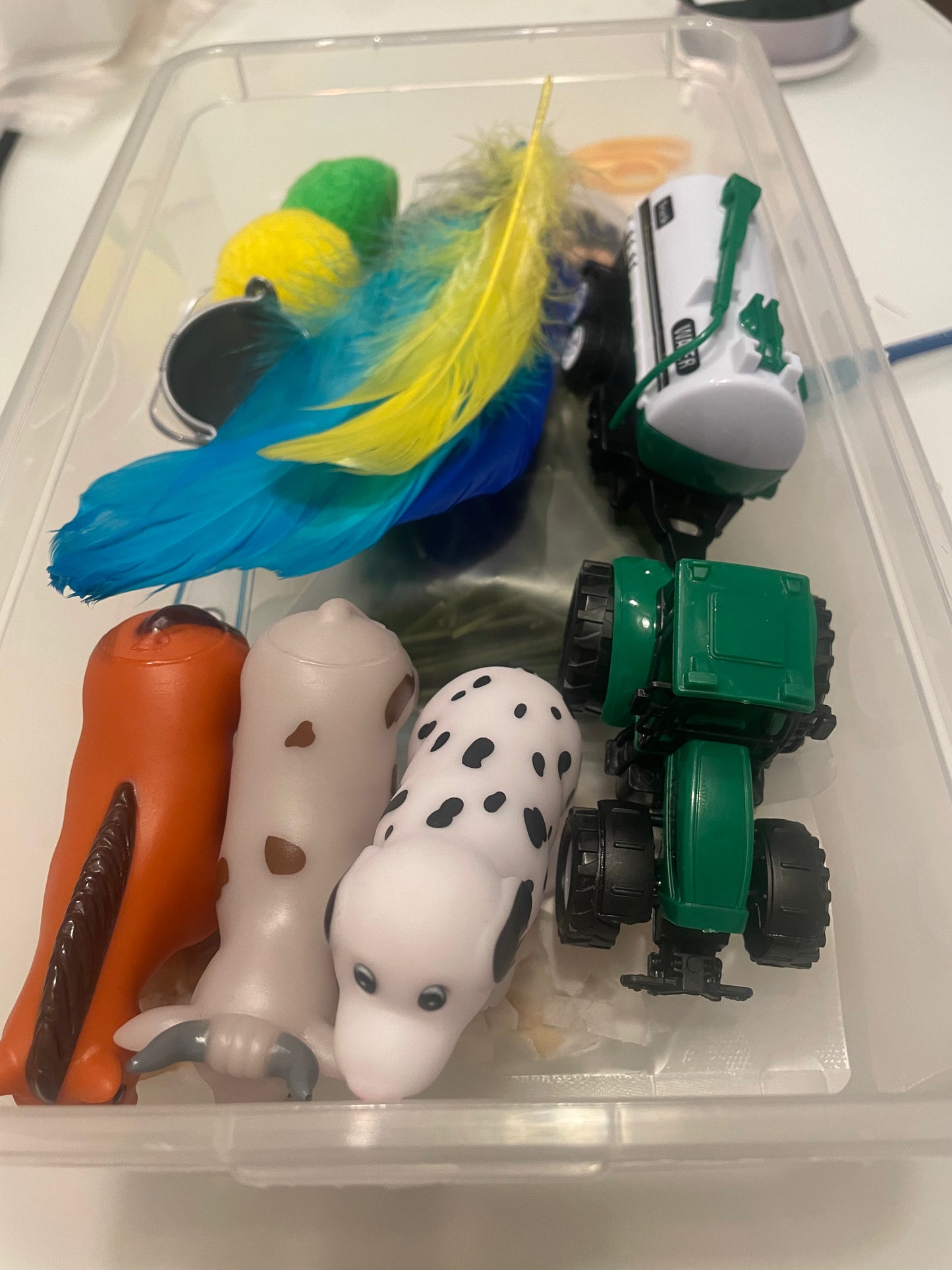 Customised Sensory Trays